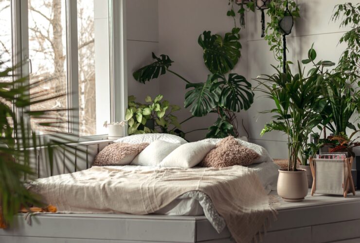 The Interior Of A Bright Bedroom With Indoor Plant 2022 11 14 02 14 48 Utc