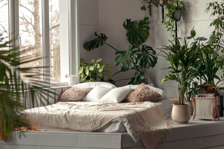 The Interior Of A Bright Bedroom With Indoor Plant 2022 11 14 02 14 48 Utc