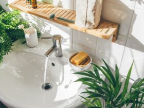 Top View Of Sing In A Bathroom In Biophilic Design 2022 04 26 04 00 25 Utc