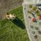 Aerial View Of Gardener Installing Brand New Grass 2023 11 27 04 54 04 Utc