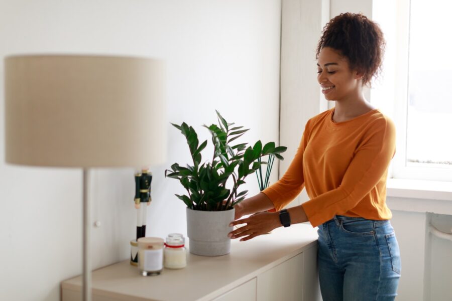 Black Woman Putting Vase With Plant On Cupboard 2023 11 27 05 00 01 Utc1