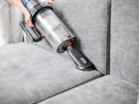 Cleaning Sofa With A Modern Cordless Vacuum Cleane 2023 11 27 05 25 47 Utc