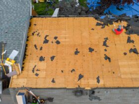 Removal Of Old Roof And Replacement With All New S 2023 11 27 05 31 22 Utc