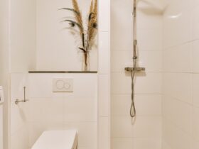 Toilet and shower in bathroom