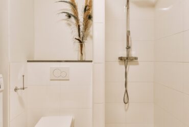 Toilet and shower in bathroom