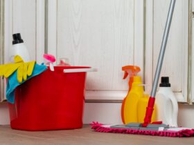 Various Household Cleaning Detergents And Bottles 2023 11 27 05 31 50 Utc