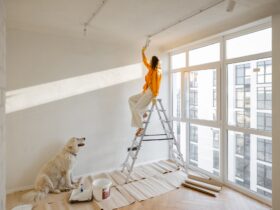 Woman with dog renovating house