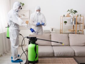 Cleaning Company Making Treatment Of Sofas And Sur 2023 11 27 05 21 43 Utc