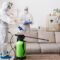 Cleaning Company Making Treatment Of Sofas And Sur 2023 11 27 05 21 43 Utc
