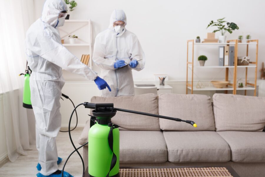Cleaning Company Making Treatment Of Sofas And Sur 2023 11 27 05 21 43 Utc