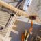 Wood Building Frame On New Residential Constructio 2023 11 27 04 52 41 Utc