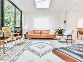 Bright Living Room 2023 11 27 05 28 35 Utc