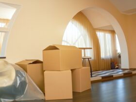Cardboard Boxes Indoors 2023 11 27 05 06 48 Utc