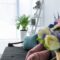 Selective Focus Of Sofa With Pillows In Stylish Li 2023 11 27 04 59 21 Utc