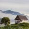 A Frame Cabin Home On The Ocean Coast 2023 11 27 05 34 03 Utc