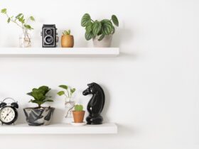 Plant Wall Shelf With Design Space 2023 11 27 04 56 04 Utc