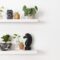 Plant Wall Shelf With Design Space 2023 11 27 04 56 04 Utc