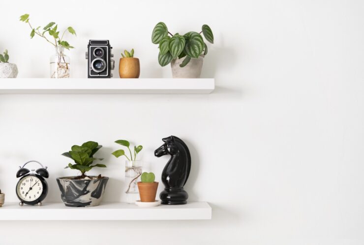 Plant Wall Shelf With Design Space 2023 11 27 04 56 04 Utc