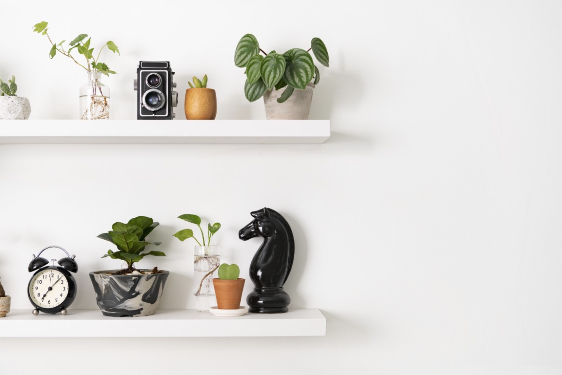 Plant Wall Shelf With Design Space 2023 11 27 04 56 04 Utc