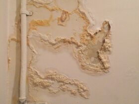 Water Damage 2023 11 27 04 56 04 Utc