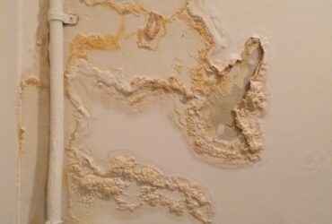 Water Damage 2023 11 27 04 56 04 Utc