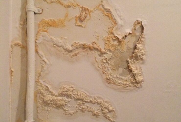 Water Damage 2023 11 27 04 56 04 Utc