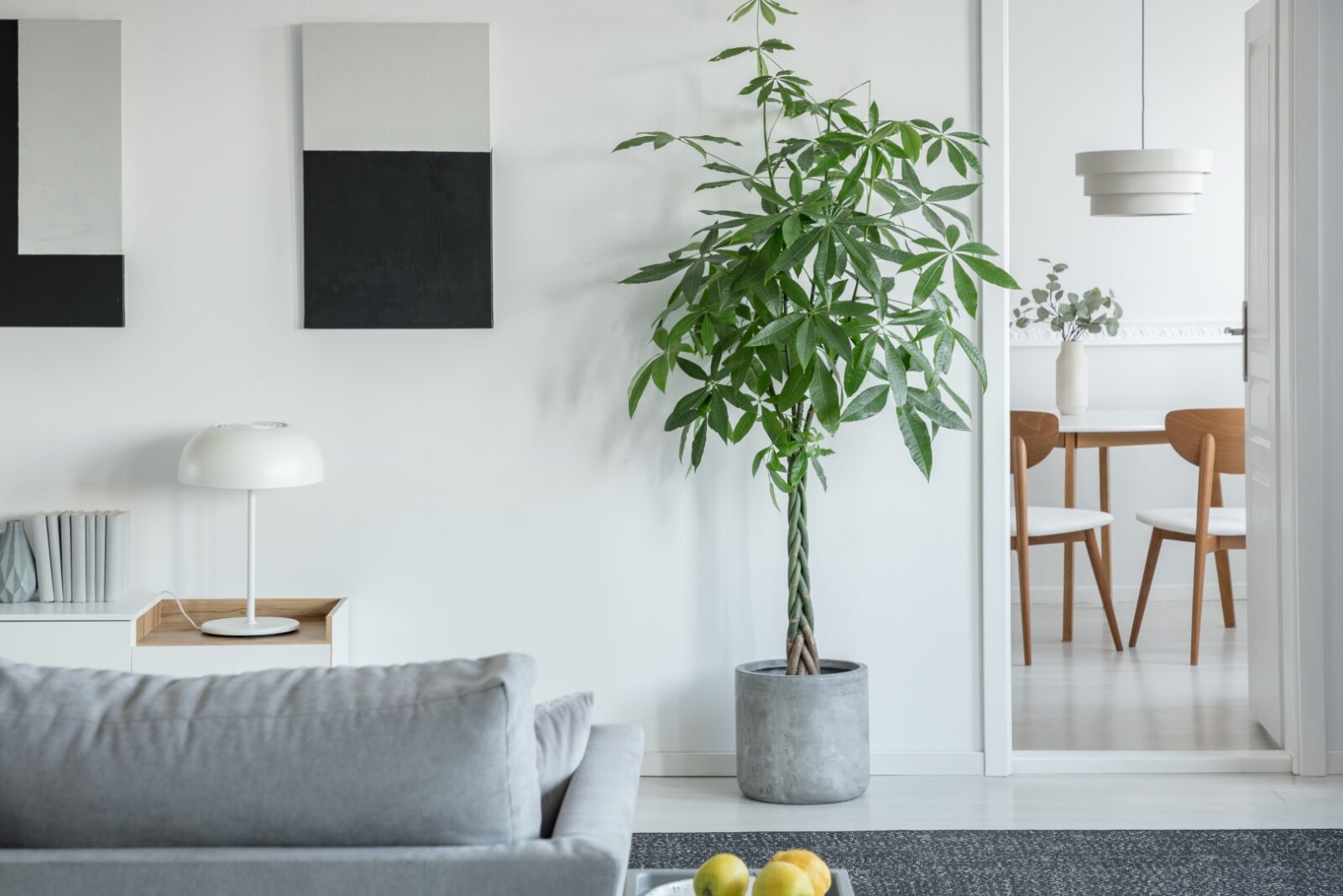 White Lamp On Table In Bright Living Room Interior 2023 11 27 05 10 39 Utc
