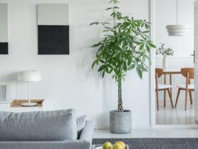 White Lamp On Table In Bright Living Room Interior 2023 11 27 05 10 39 Utc
