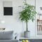 White Lamp On Table In Bright Living Room Interior 2023 11 27 05 10 39 Utc