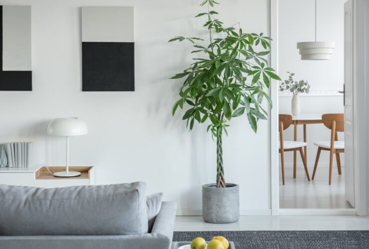 White Lamp On Table In Bright Living Room Interior 2023 11 27 05 10 39 Utc