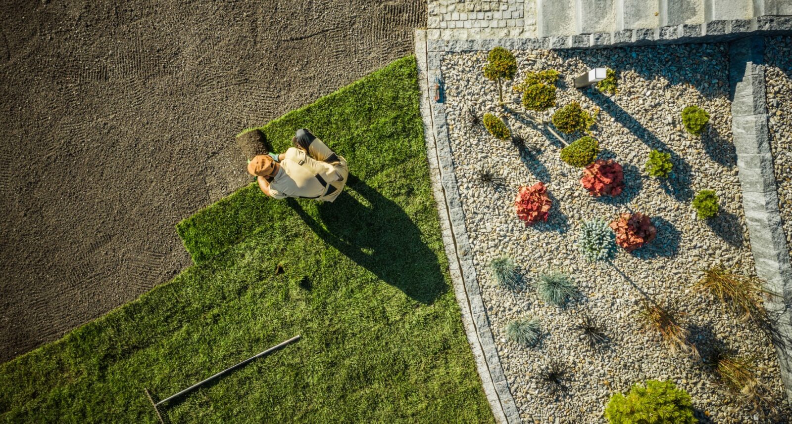 Aerial View Of Gardener Installing Brand New Grass 2023 11 27 04 54 04 Utc