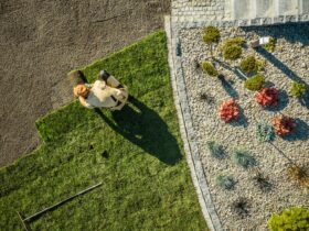 Aerial View Of Gardener Installing Brand New Grass 2023 11 27 04 54 04 Utc