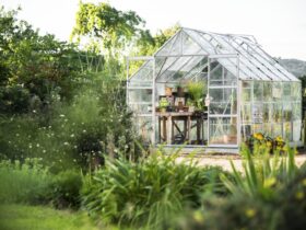 Glass Greenhouse 2023 11 27 05 20 26 Utc