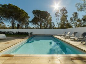 Modern House With Garden Swimming Pool And Wooden 2023 11 27 05 21 37 Utc