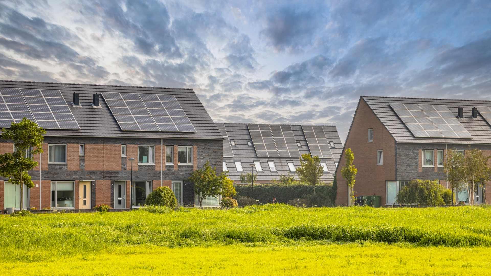 Image showcasing 4 Ways to Transform Your Home into an Eco-Friendly Haven