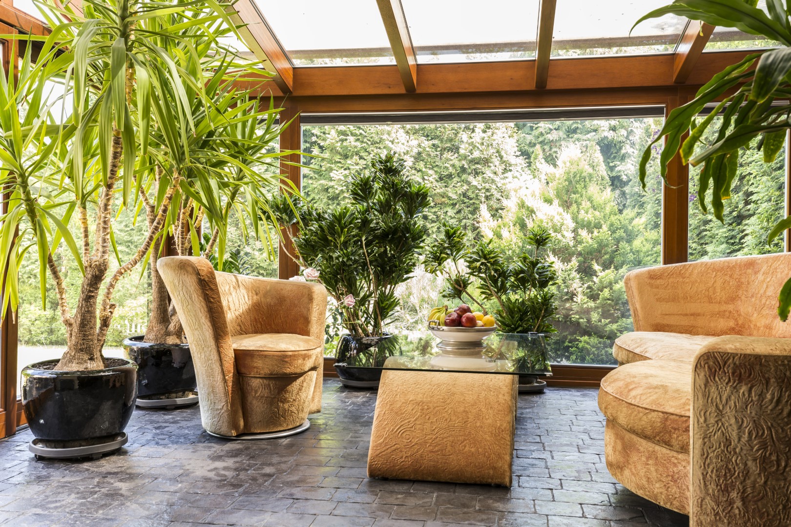 Plants in a horticultural glass extension