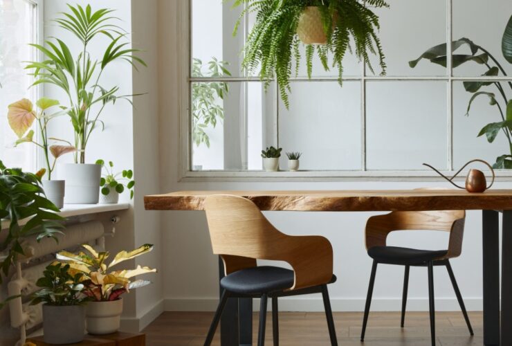 Stylish And Botany Interior Of Dining Room 2023 11 27 05 19 43 Utc