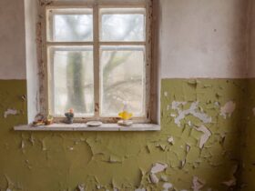 Window In Old Abandoned House In Chernobyl 2023 11 27 05 00 33 Utc