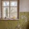 Window In Old Abandoned House In Chernobyl 2023 11 27 05 00 33 Utc