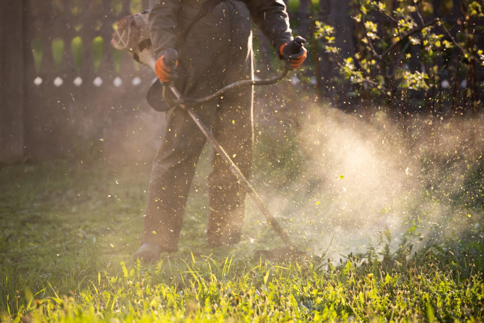 Lawn Mover On Green Grass Machine For Cutting Law 2023 11 27 04 58 49 Utc