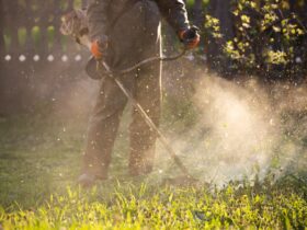 Lawn Mover On Green Grass Machine For Cutting Law 2023 11 27 04 58 49 Utc