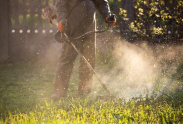 Lawn Mover On Green Grass Machine For Cutting Law 2023 11 27 04 58 49 Utc