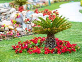 Small Green Palm Tree Surrounded With Bright Bloom 2023 11 27 05 11 23 Utc