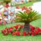 Small Green Palm Tree Surrounded With Bright Bloom 2023 11 27 05 11 23 Utc