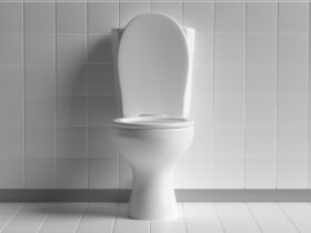 Toilet Bowl On White Background Copy Space 3d Il 2023 11 27 05 31 04 Utc