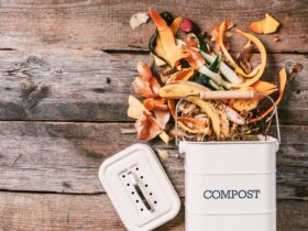 Garbage Sorting Organic Food Waste From Vegetable 2023 11 27 05 15 29 Utc