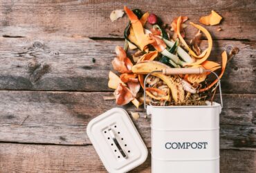 Garbage Sorting Organic Food Waste From Vegetable 2023 11 27 05 15 29 Utc