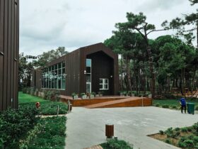 Modern Architecture Building in Lush Forest Setting