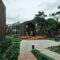 Modern Architecture Building in Lush Forest Setting
