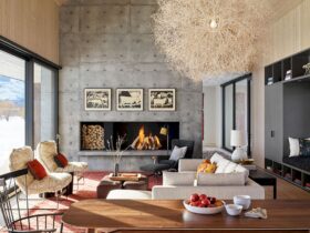 Dogtrot 10